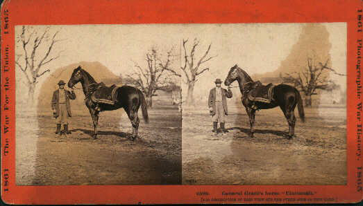 2590 GENERAL GRANT'S HORSE 'CINCINNATI' One of General Grant's favorite horses; taken at City Point, VA in March 1865.jpg (30816 bytes)